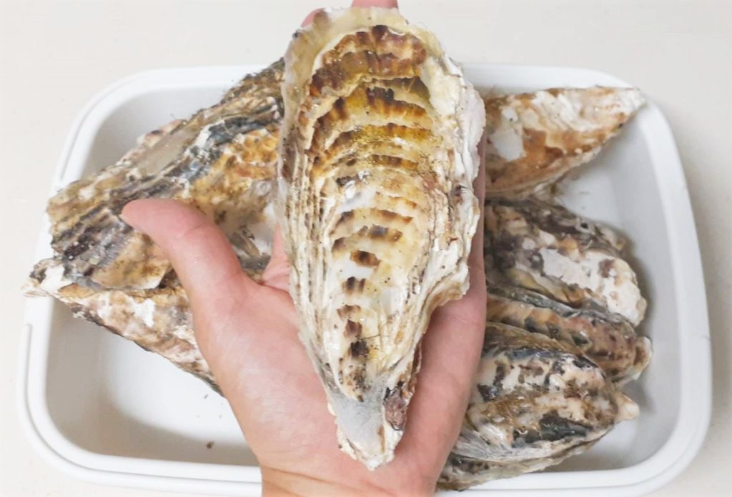 コストコ　殻付き牡蠣　美味しい　オススメ　食べ方　簡単